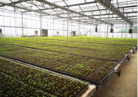 普田潤生物有機(jī)肥 普田潤生物有機(jī)肥