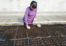 普田潤生物有機肥 普田潤生物有機肥